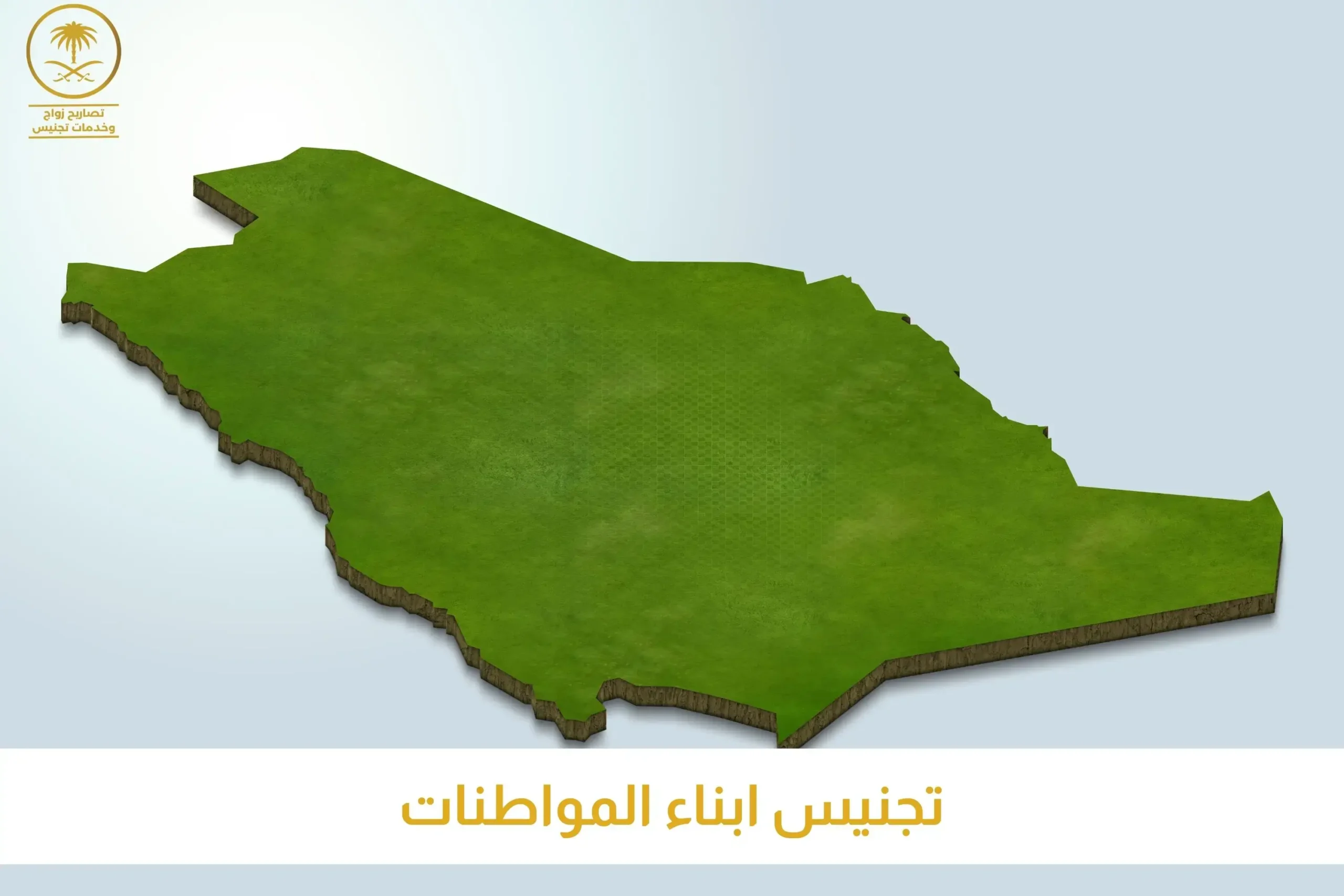 تجنيس أبناء المواطنات