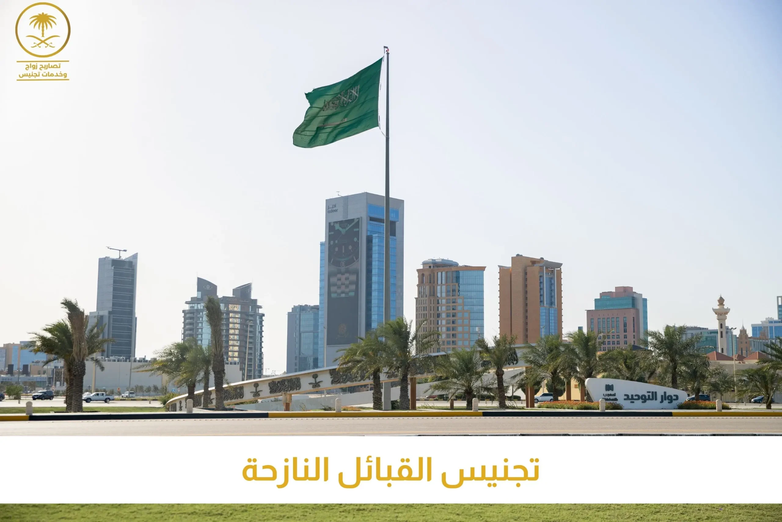 تجنيس القبائل النازحة