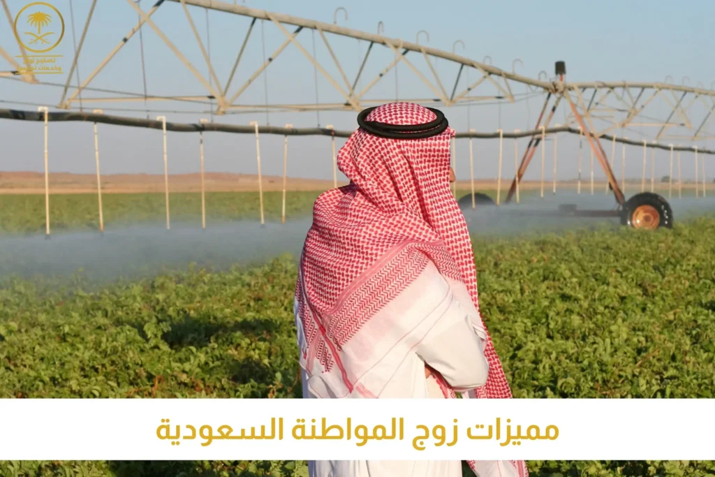 حقوق ابن المواطنة السعودية